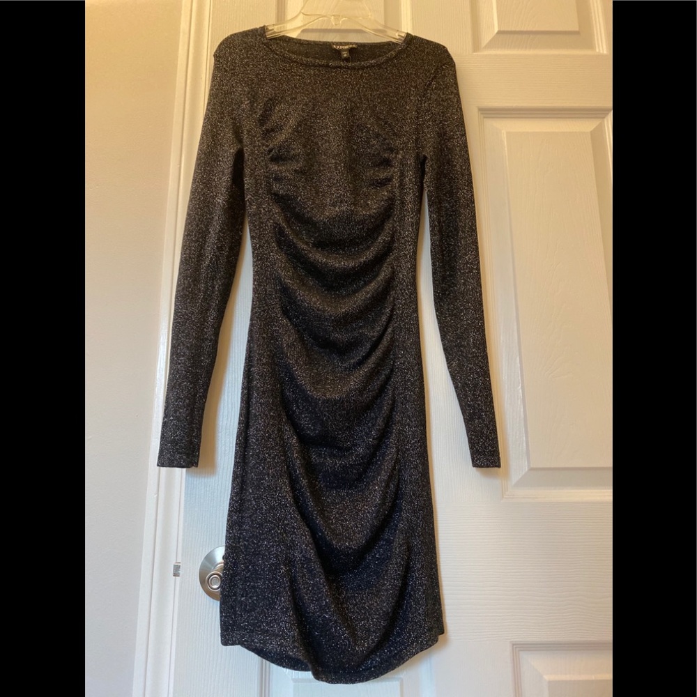 Express Long Sleeve Party Dress